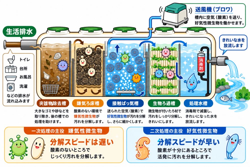 1口・2口ブロワーの使い分け｜生物ろ過槽の有無で選ぶ
